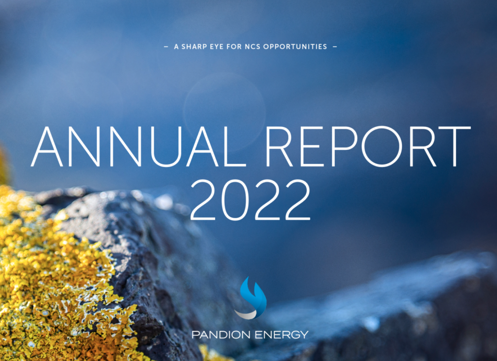 Publication of the combined annual report for 2022 - Pandion Energy